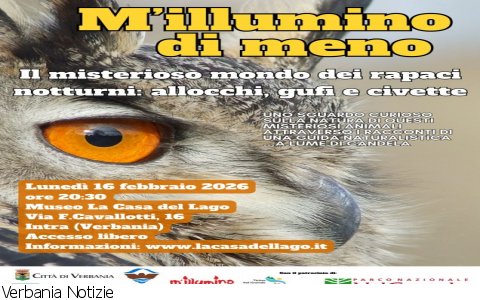 Verbania
M'illumino di meno - i rapaci notturni Verbania
M'illumino di meno - i rapaci notturni